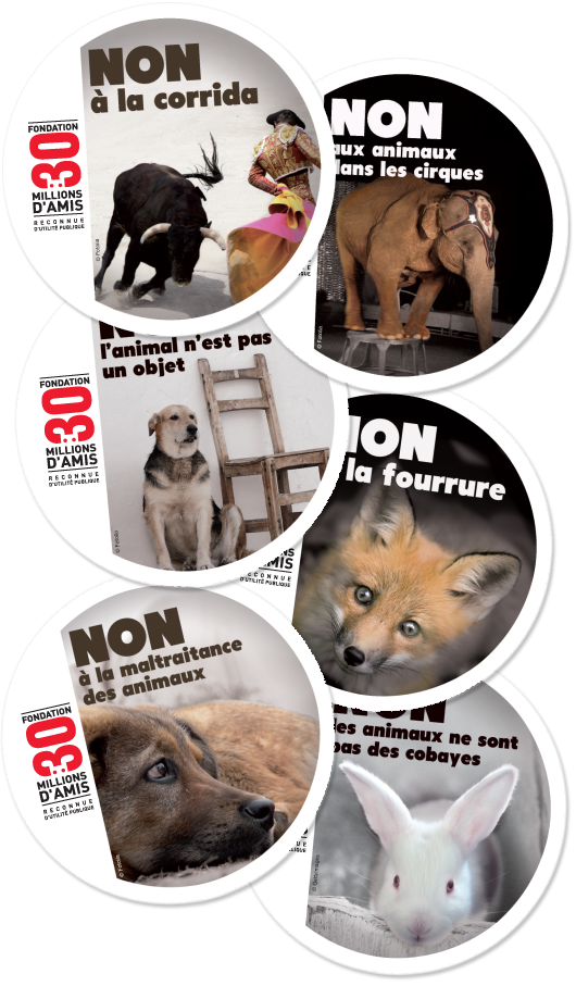 Stickers 30 Millions d'Amis
